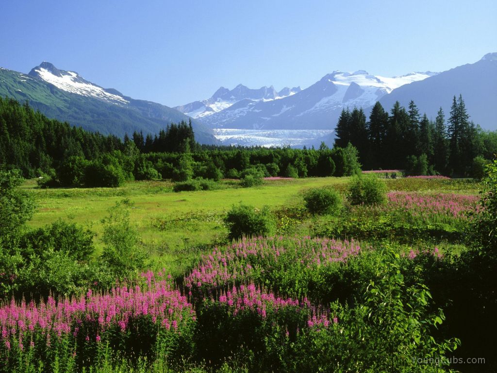 Mendenhall Glacier, Alaska